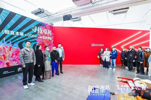 《寻找卓玛》 非遗文化的当代艺术表达与文化交流实践