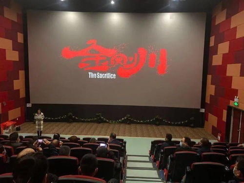 华阴市文旅局党委 重温峥嵘岁月筑牢使命担当，文化交融激发时代活力