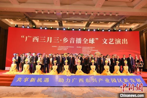 2024五洲筑梦 海外华侨华人防城港联谊大会 文化汇演促交流，凝聚侨心筑梦想